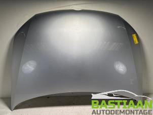 Używane Maska Volkswagen Polo V (6R) 1.2 12V BlueMotion Technology Cena € 250,00 Procedura marży oferowane przez Bastiaan Autodemontage