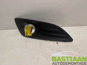 Gebruikte Afdekplaat mistlamp rechts Ford Fiesta 6 (JA8) 1.0 EcoBoost 12V 100 Prijs € 29,99 Margeregeling aangeboden door Bastiaan Autodemontage
