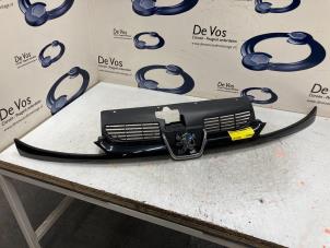 Gebruikte Grille Peugeot 206 (2A/C/H/J/S) 1.4 XR,XS,XT,Gentry Prijs € 45,00 Margeregeling aangeboden door De Vos Onderdelen