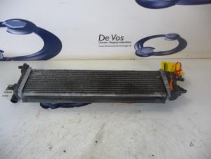 Gebruikte Radiateur Citroen DS5 (KD/KF) 2.0 165 HYbrid4 16V Prijs € 100,00 Margeregeling aangeboden door De Vos Onderdelen