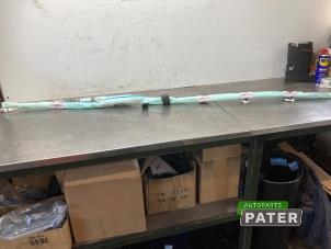 Begagnade Takgardinairbag, vänster Tesla Model Y (5YJY) Long Range,Performance Pris € 210,00 Marginaltabell erbjuds av Autoparts Pater