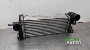 Begagnade Laddluftkylare Ford Focus 3 Wagon 1.0 Ti-VCT EcoBoost 12V 125 Pris € 31,50 Marginaltabell erbjuds av Autoparts Pater