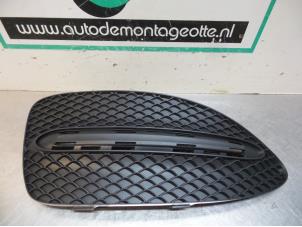 Nieuwe Bumper Rooster Mercedes B-Klasse Prijs € 30,25 Inclusief btw aangeboden door Autodemontagebedrijf Otte