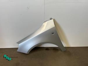 Gebruikte Scherm links-voor Skoda Fabia II Combi 1.2i 12V Prijs € 100,00 Margeregeling aangeboden door Autodemontagebedrijf Otte