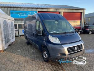 Begagnade Airbagset Fiat Ducato (250) 2.3 D 120 Multijet Pris på förfrågan erbjuds av Franken Autodemontage B.V.