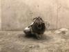 Opel Corsa D 1.2 16V Starter