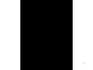 Gebruikte Ruitmechaniek 4Deurs rechts-voor Saab 9-3 II Sport Sedan (YS3F) 1.8i 16V Prijs € 45,00 Margeregeling aangeboden door Autosloopbedrijf H.C.Stouten