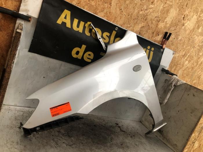 Framskärm, vänster från en Mazda 2 (NB/NC/ND/NE) 1.4 16V 2006