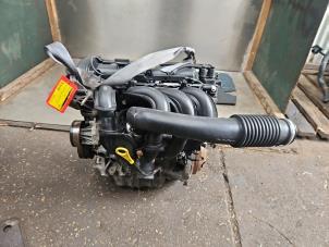 Used Engine Ford Focus 2 1.6 16V Price € 375,00 Margin scheme offered by Autodemontage de Zaag