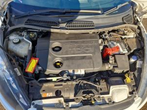 Usagé Moteur Ford Fiesta 6 (JA8) 1.6 TDCi 95 Prix € 1.000,00 Règlement à la marge proposé par Autodemontage de Zaag