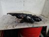 Koplamp links van een Peugeot 307 Break (3E) 1.6 16V 2005