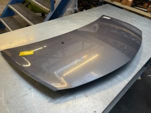 Gebruikte Motorkap Renault Clio III (BR/CR) 1.5 dCi 85 Prijs € 50,00 Margeregeling aangeboden door Poolman autodemontage