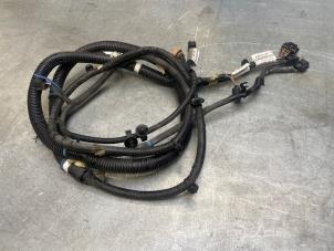 Gebruikte Kabelboom Renault Master III (MA/MB/MC/MD/MH/MF/MG/MH) 2.3 dCi 135 16V FWD Prijs € 60,50 Inclusief btw aangeboden door Poolman autodemontage