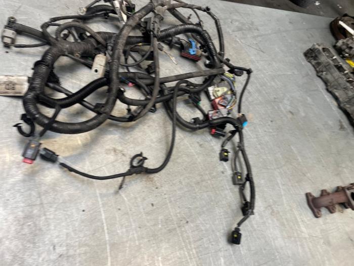 Kabelboom van een Ford Transit Connect (PJ2) 1.6 TDCi 16V 75 2015