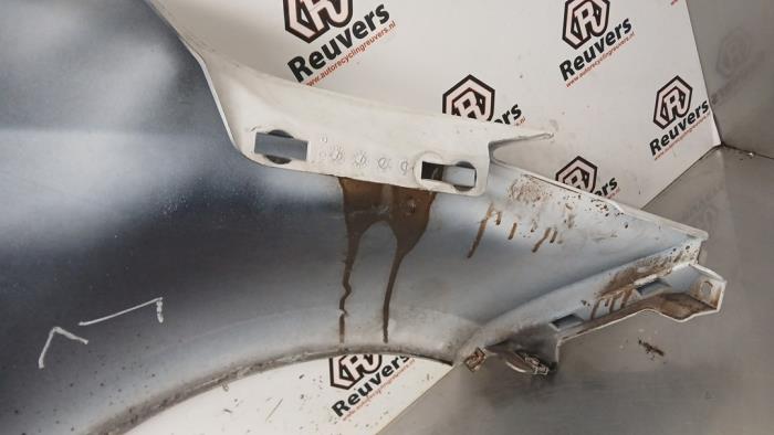 Framskärm, vänster från en Renault Zoé (AG) R90 2015