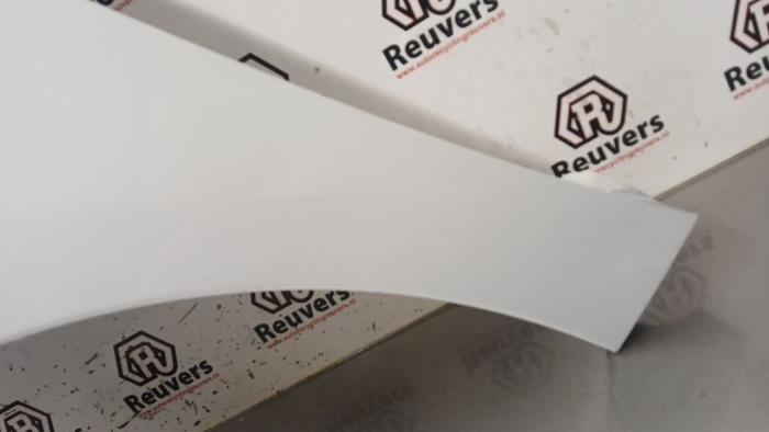 Framskärm, vänster från en Renault Zoé (AG) R90 2015