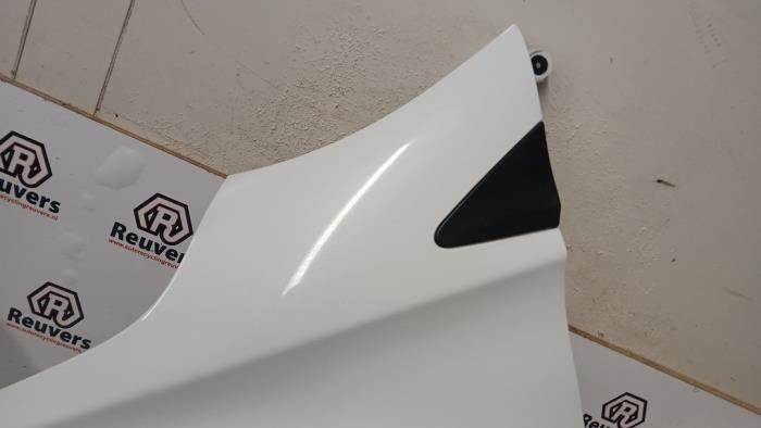 Framskärm, vänster från en Renault Zoé (AG) R90 2015