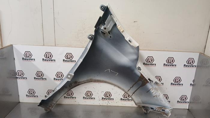 Framskärm, vänster från en Renault Zoé (AG) R90 2015