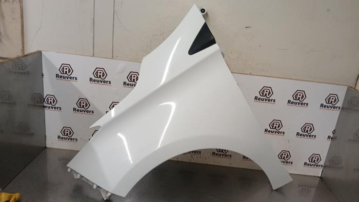 Framskärm, vänster från en Renault Zoé (AG) R90 2015