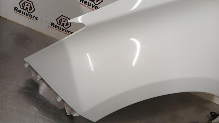 Framskärm, vänster från en Renault Zoé (AG) R90 2015