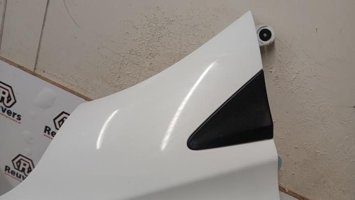 Framskärm, vänster från en Renault Zoé (AG) R90 2015