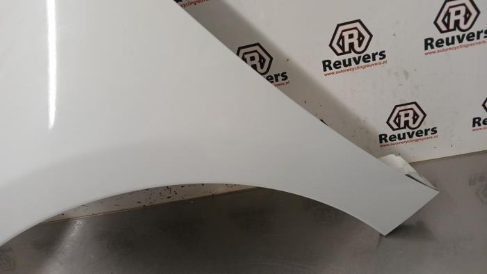 Framskärm, vänster från en Renault Zoé (AG) R90 2015