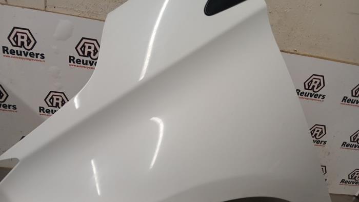 Framskärm, vänster från en Renault Zoé (AG) R90 2015