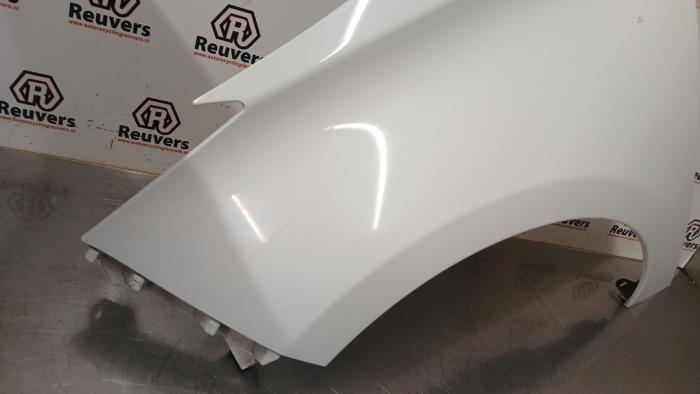 Framskärm, vänster från en Renault Zoé (AG) R90 2015