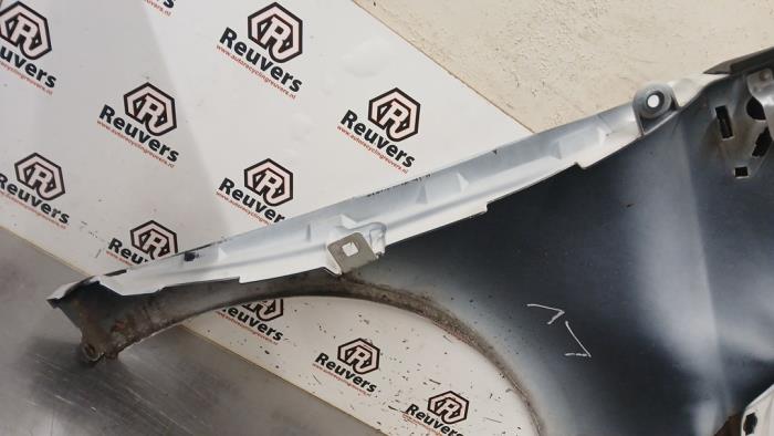 Framskärm, vänster från en Renault Zoé (AG) R90 2015