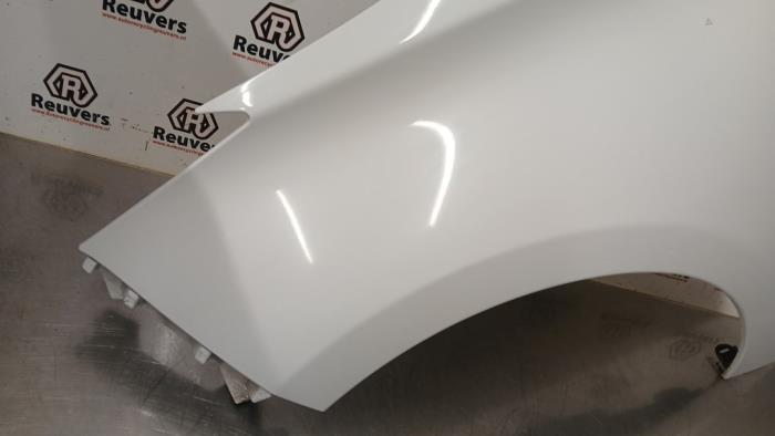 Framskärm, vänster från en Renault Zoé (AG) R90 2015