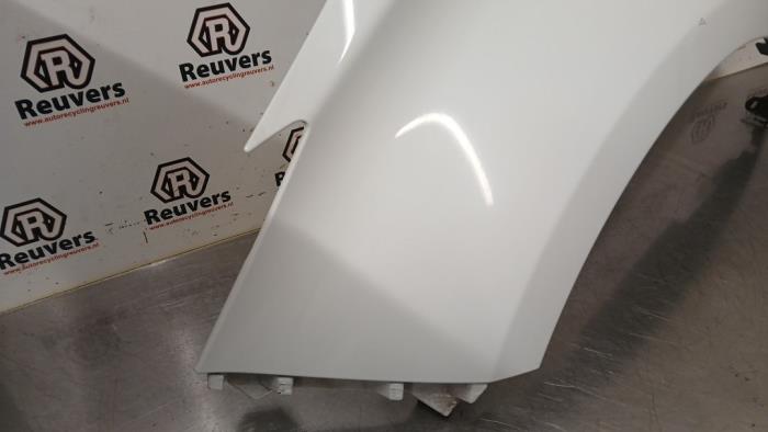 Framskärm, vänster från en Renault Zoé (AG) R90 2015