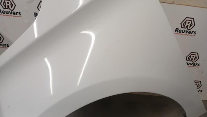 Framskärm, vänster från en Renault Zoé (AG) R90 2015