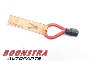 Begagnade Kablage Tesla Model X 100D Pris € 39,95 Marginaltabell erbjuds av Boonstra Autoparts