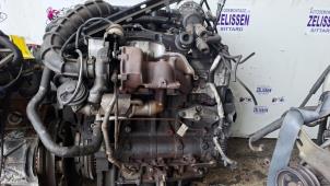 Używane Silnik Ford Transit 2.0 TDCi 16V 260S Cena € 1.575,00 Procedura marży oferowane przez Zelissen V.O.F. autodemontage