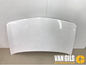 Gebruikte Motorkap Renault Megane II Grandtour (KM) 1.5 dCi 85 Prijs € 100,00 Margeregeling aangeboden door Van Gils Automotive