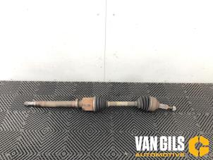 Używane Os napedowa prawy przód Ford Transit Custom 2.2 TDCi 16V Cena € 299,99 Procedura marży oferowane przez Van Gils Automotive