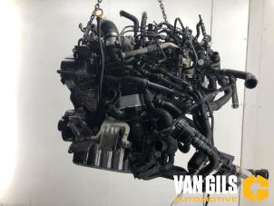 Gebruikte Motor Volkswagen Transporter T6 2.0 TDI 204 Prijs € 4.999,99 Margeregeling aangeboden door Van Gils Automotive