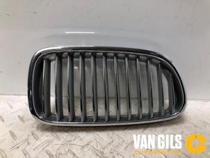 Używane Grill BMW 5 serie Touring (F11) 520d 16V Cena € 30,00 Procedura marży oferowane przez Van Gils Automotive