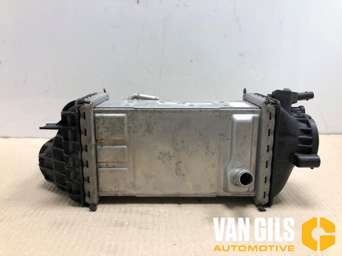 Laddluftkylare från en Volkswagen Polo VI (AW1) 1.0 TSI 12V 2023