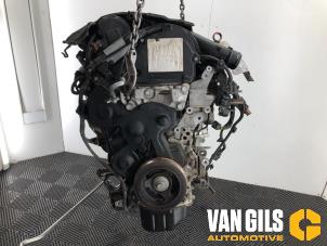 Gebruikte Motor Peugeot Partner (GC/GF/GG/GJ/GK) 1.6 HDI 75 Phase 1 Prijs op aanvraag aangeboden door Van Gils Automotive