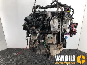 Gebruikte Motor Renault Trafic Passenger (1JL/2JL/3JL/4JL) Prijs op aanvraag aangeboden door Van Gils Automotive