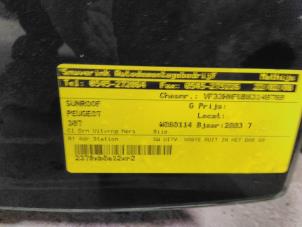 Gebruikte Schuifdak Peugeot 307 SW (3H) 1.6 16V Prijs € 112,50 Margeregeling aangeboden door Snuverink Autodemontage
