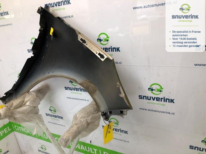 Framskärm, vänster från en Renault Scénic III (JZ) 1.5 dCi 110 2013