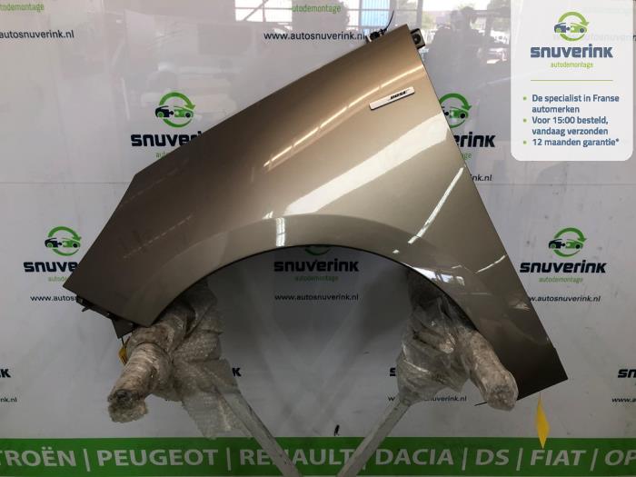 Framskärm, vänster från en Renault Scénic III (JZ) 1.5 dCi 110 2013