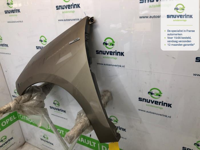 Framskärm, vänster från en Renault Scénic III (JZ) 1.5 dCi 110 2013