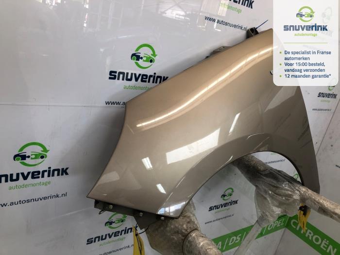 Framskärm, vänster från en Renault Scénic III (JZ) 1.5 dCi 110 2013