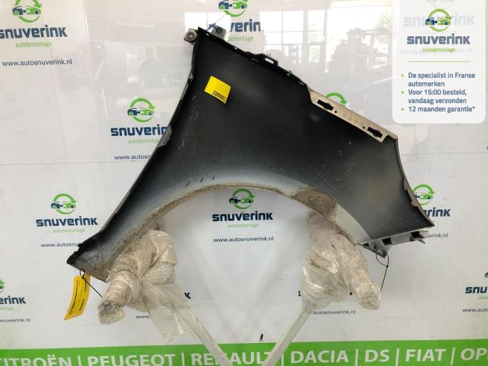 Framskärm, vänster från en Renault Scénic III (JZ) 1.5 dCi 110 2013