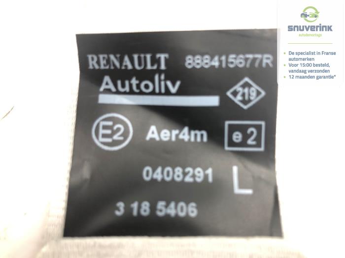 Bakre säkerhetsbälte, vänster från en Renault Scénic III (JZ) 1.5 dCi 110 2013