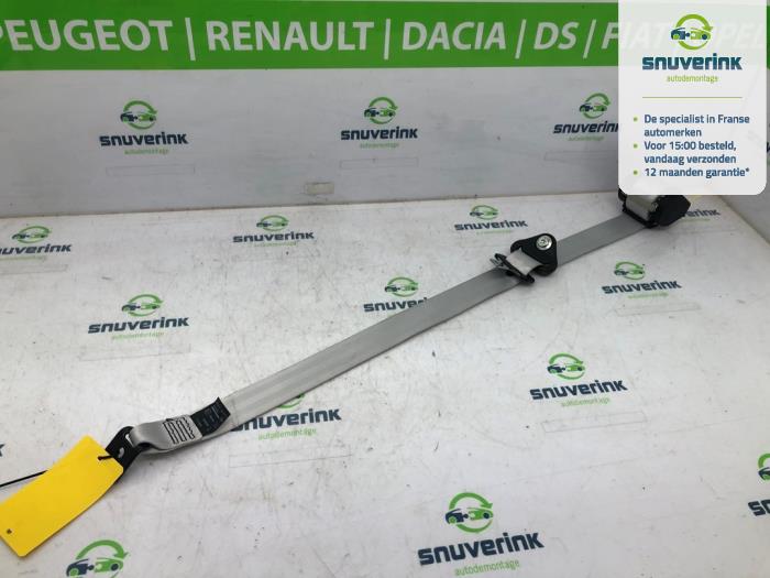 Bakre säkerhetsbälte, vänster från en Renault Scénic III (JZ) 1.5 dCi 110 2013