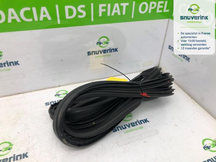 Främre dörrtätning, 4-dörrars, höger från en Renault Scénic III (JZ) 1.5 dCi 110 2013